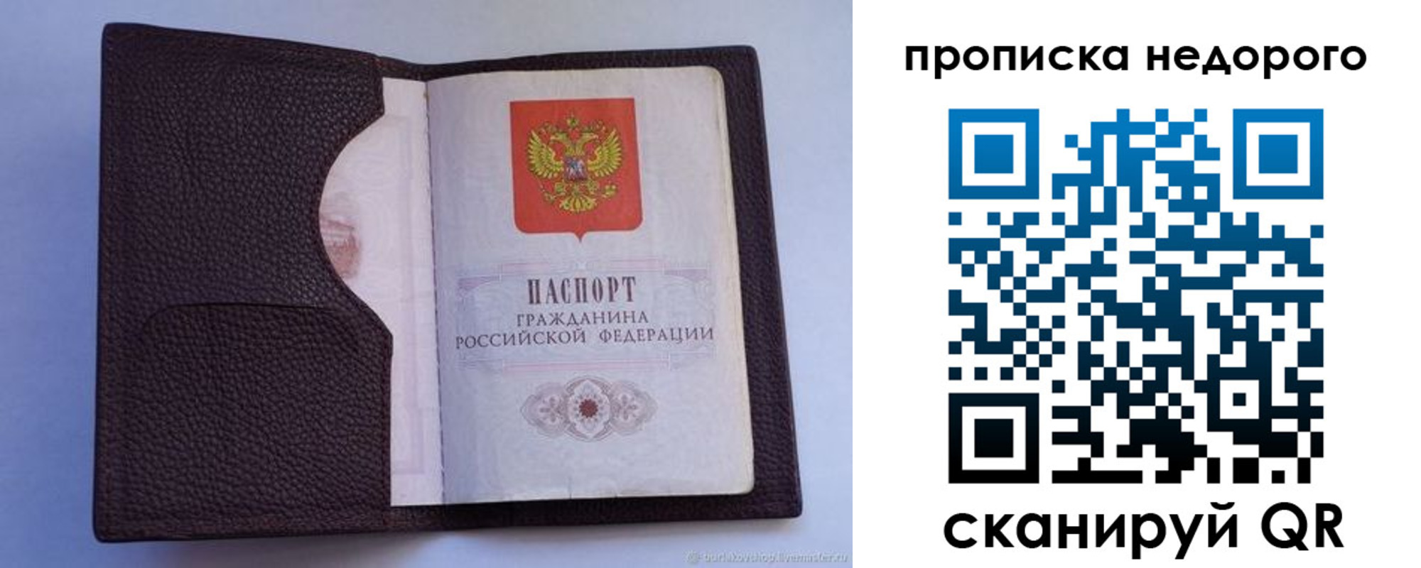 прописка законно в Бакале